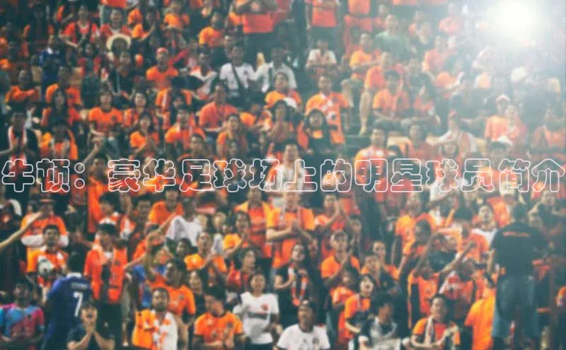非凡游戏官方网址入口网易牛顿：豪华足球场上的明星球员简介