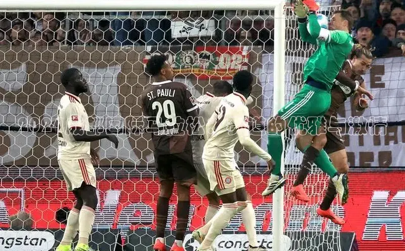 非凡娱乐百度搜索资源平台2024成都国际马拉松：赛道的优雅与激情