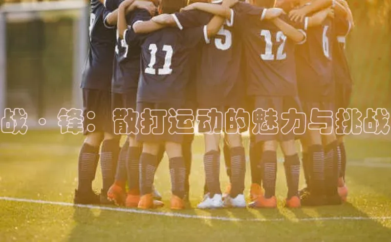 战·锋：散打运动的魅力与挑战