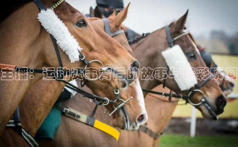 主播：运动赛事背后的故事与精彩瞬间