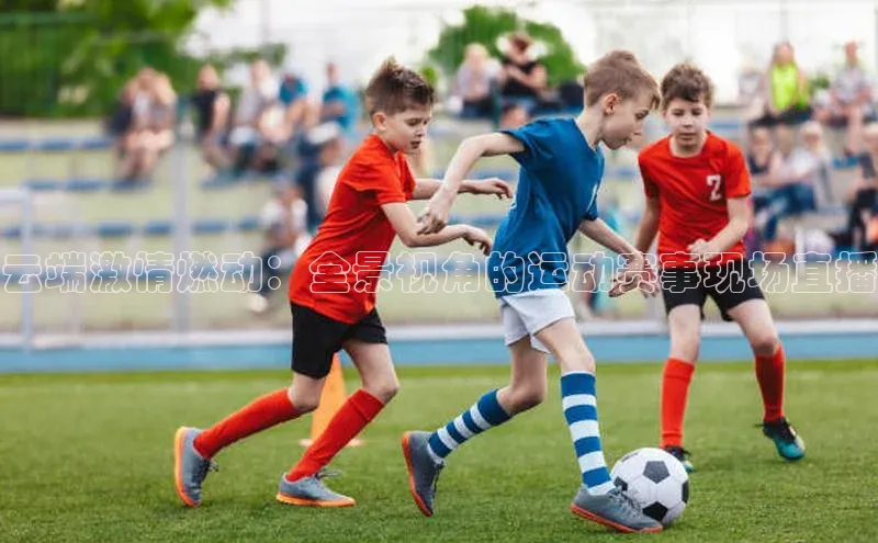 2121非凡体育.com